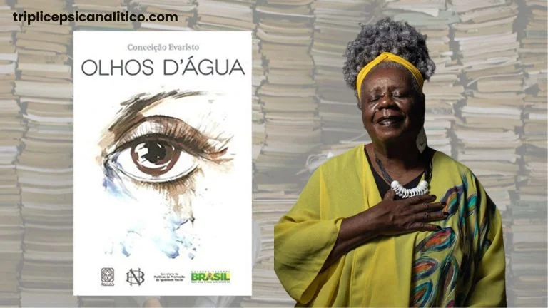 livro olhos dagua conceicao evaristo